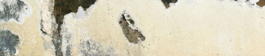 Preventing Damp on Walls Preventing Damp on Walls